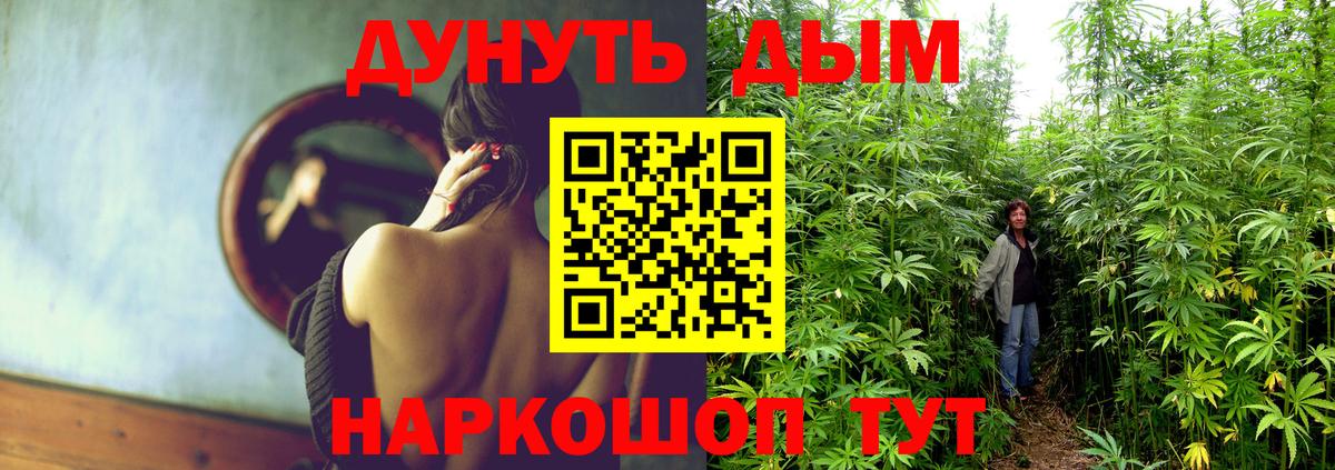 Бошки Шишки Amnesia  Конопля тримм  Краснодар  Вход с VPN  Бошки Шишки AK-47 